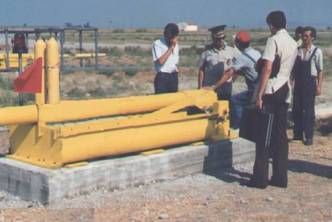 Ağ ve Kaldırma Sistemi